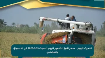 تحديث اليوم.. سعر الأرز الشعير اليوم السبت 13-9-2025 في الأسواق والمضارب